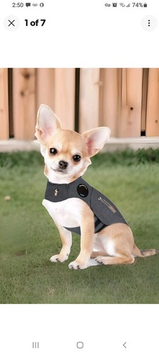 Calming dog anxiety thunder - calming,