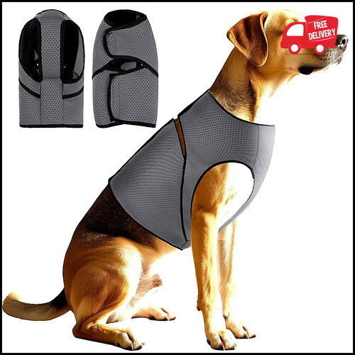 Dog anxiety calming vest - dog,